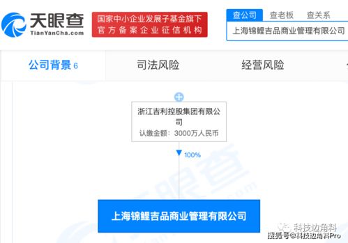 吉利控股拓展業(yè)務(wù)版圖 錦鯉吉品管理公司成立，聚焦互聯(lián)網(wǎng)銷售新機(jī)遇